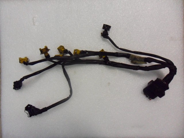 Fuel Injectors Wiring.JPG